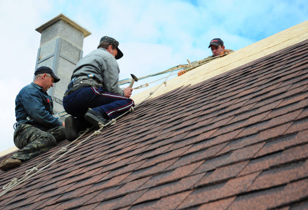 Best Shingle Roofing Installation  in Lake Caroline, VA