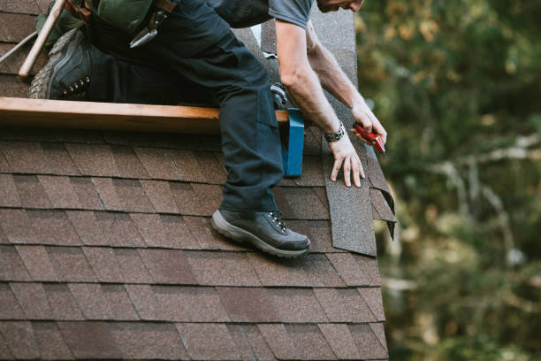 Best Gutter Installation and Roofing  in Lake Caroline, VA